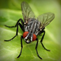 /album/missxv/photolia-a01-jpg/