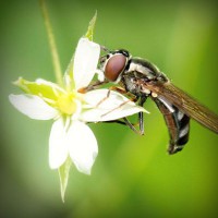 /album/missxv/photolia-a02-jpg/