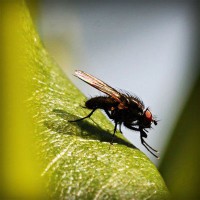 /album/missxv/photolia-a04-jpg/