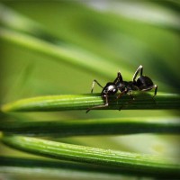 /album/missxv/photolia-a05-jpg/