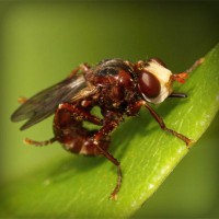 /album/missxv/photolia-a06-jpg/