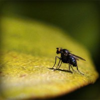 /album/missxv/photolia-a07-jpg/