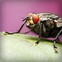 /album/missxv/photolia-a08-jpg/